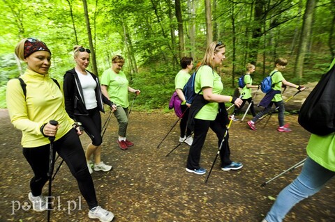 Będziemy stolicą „kijkarzy”
