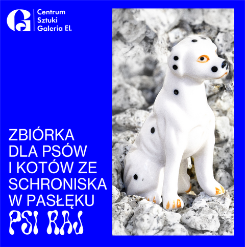 Odwiedź wystawę i pomóż bezdomnym zwierzętom