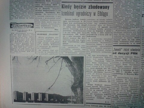 Oliwskie żyletki