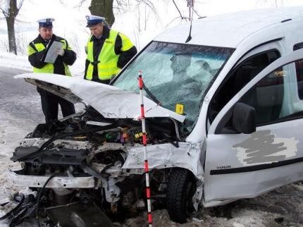 Opel na drzewie