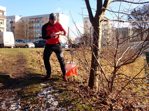 Orientacja za torami
