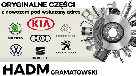 Oryginalne części bez wychodzenia z domu. Zamów, a dowieziemy pod wskazany adres!