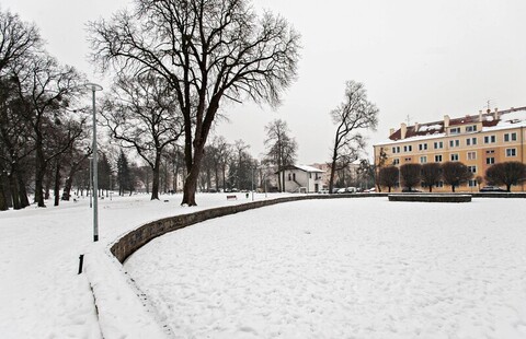 Miejski pomysł na odnowienie parków