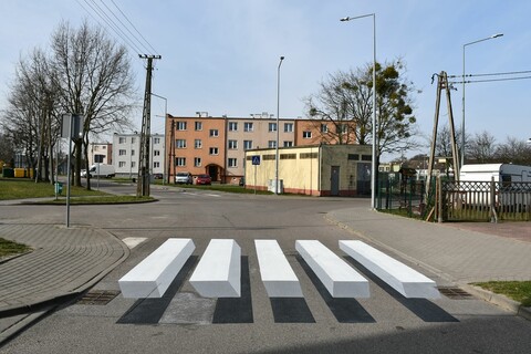 Zebra w 3D