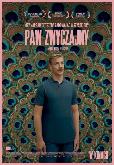 Paw zwyczajny w kinie Światowid