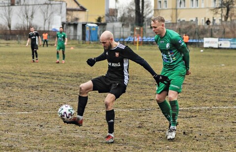 Pelikan ustrzelony