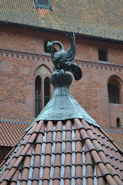 Historia okolic Elbląga: Odkrywamy tajemnice malborskiego zamku (odc. 157) 