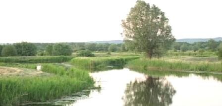 Pętla Żuławska bez Elbląga