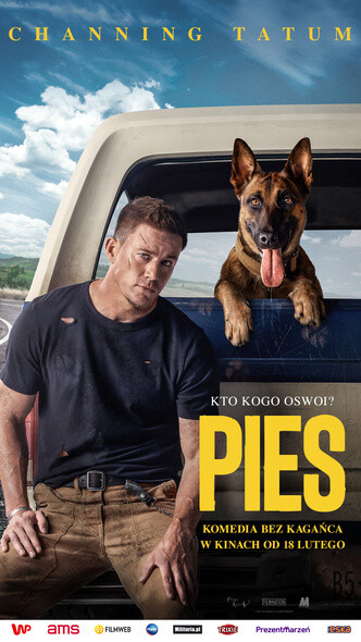 Pies w Kinie Światowid