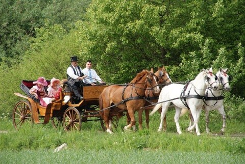 Piknik Zaprzęgowy w Piastowie