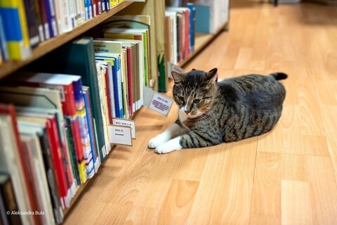 Rozsławił bibliotekę, teraz musiał się wyprowadzić