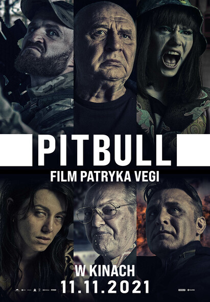 Pitbull w Kinie Światowid
