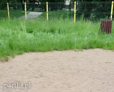 Rodzice alarmują: plac zabaw w parku Kajki jest nieprzygotowany do otwarcia