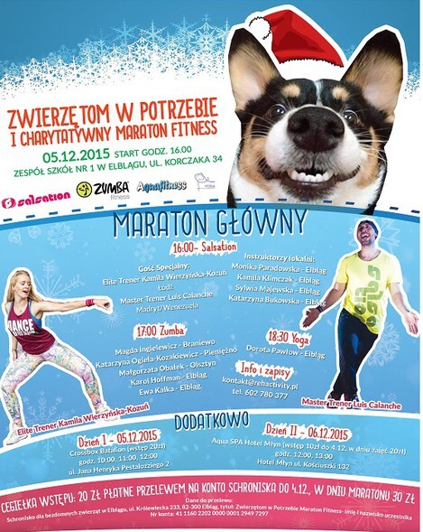 Zwierzętom w Potrzebie. Charytatywny Maraton Fitness