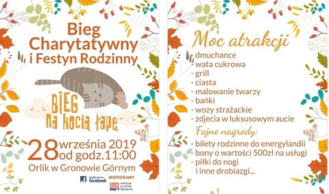 Pobiegną dla chorych zwierząt
