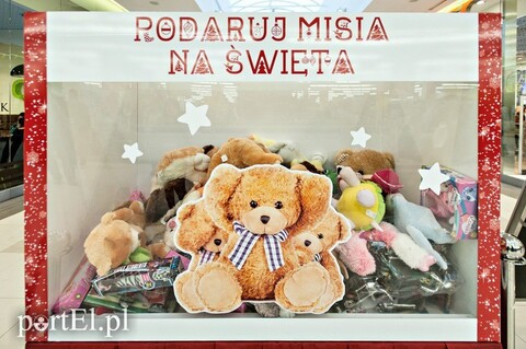 Podaruj misia na Gwiazdkę