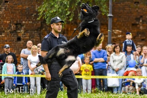Akademia dla policjantów, a dla mieszkańców festyn　