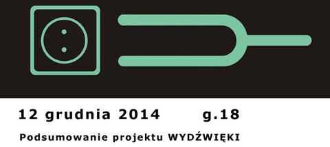 Podsumowanie projektu Wydźwięki/Resonances