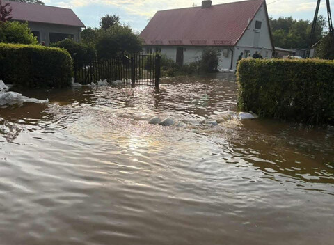 Elszka. Temat rzeka