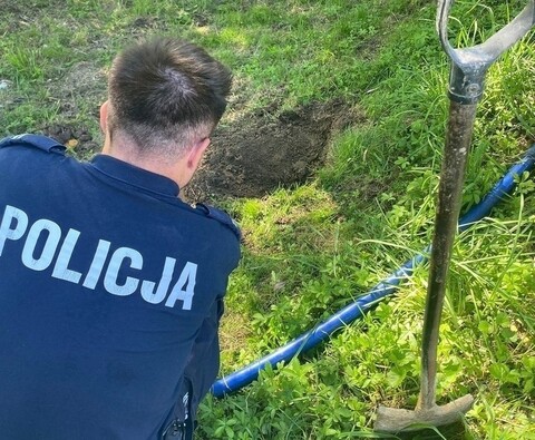 Zakopała żywcem kota. Policję zawiadomiła jej córka