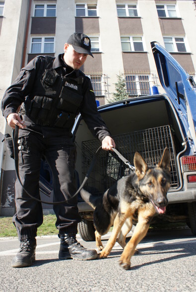 Wspólne szkolenie Policji i Straży Granicznej