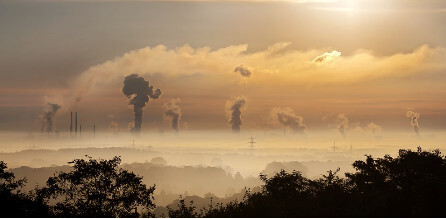 Polski Alarm Smogowy w walce ze smogiem
