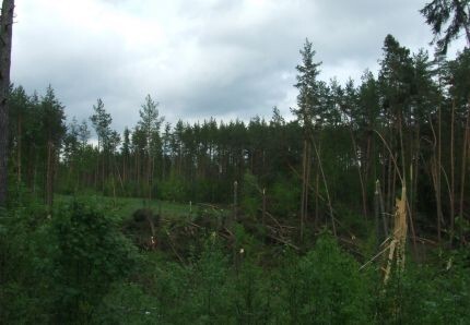 Pomoc dla rolników