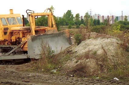 Porządki na Modrzewinie