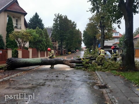 Ponad dwadzieścia interwencji strażaków w Elblągu i powiecie