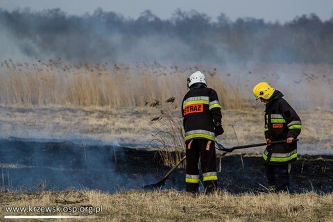 Pożar nieużytków