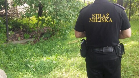 Pożyteczne, ale niebezpieczne