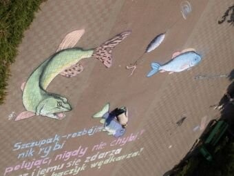 Street Art na ulicach Elbląga