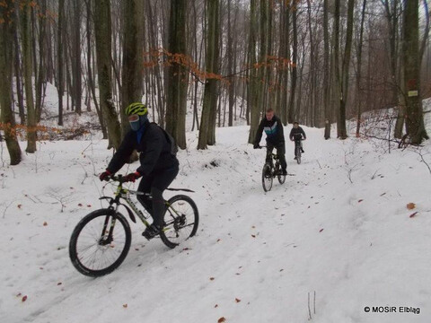 Przejechali rowerami po zaśnieżonej Bażantarni