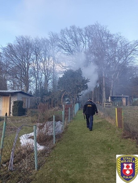 Przypomnienie o zakazie spalania odpadów zielonych