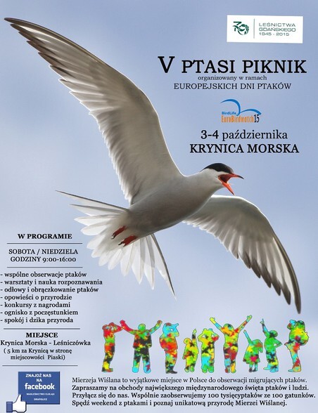 Ptasi Piknik w weekend