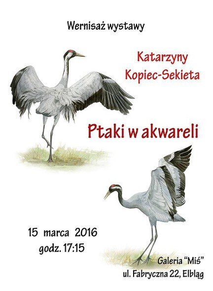 Ptasie akwarele na Fabrycznej