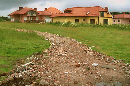 Ptasie ulice