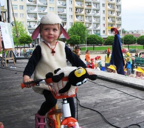 Rowerek dla... owieczki!
