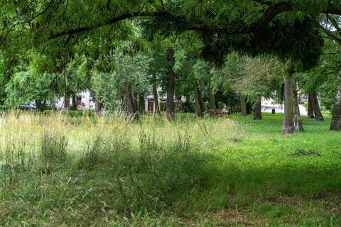 Rusza głosowanie w Zielonym Budżecie