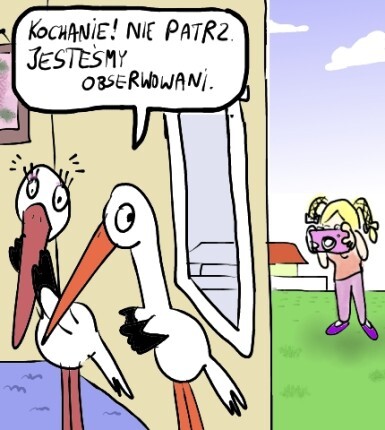 Konkurs Bocianopedii