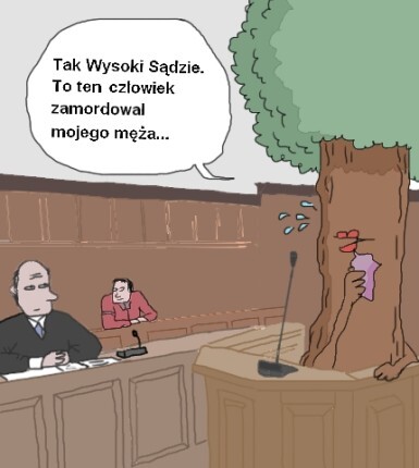 Przed sąd za ścięcie drzewa