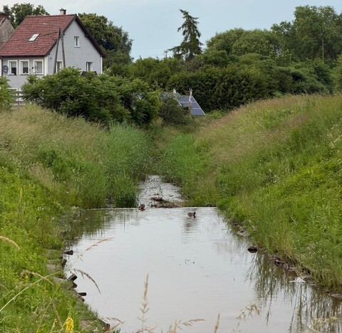 Chcą się porozumieć w sprawie rzeki