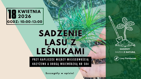 Sadzenie drzew z leśnikami