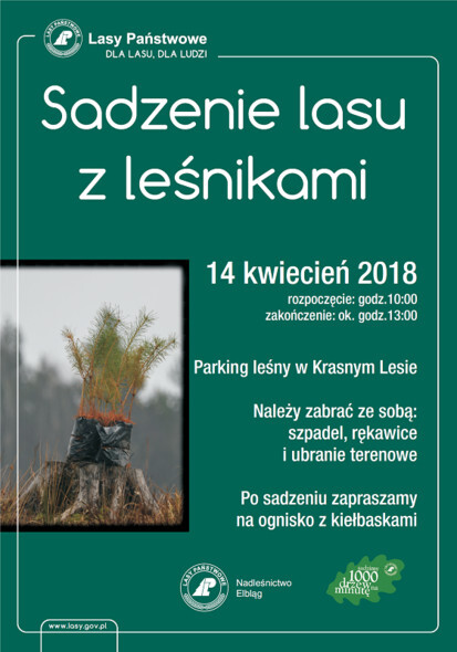 Sadzenie lasu z leśnikami już w sobotę