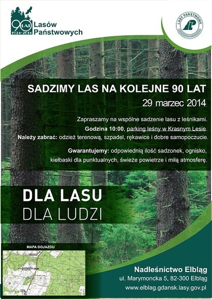 Sadzimy las na kolejne 90 lat