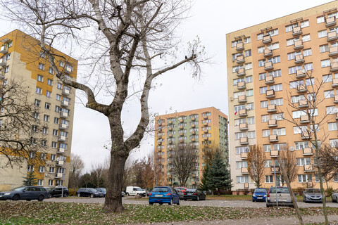 Sielanka w sprawie prusaków (Śladem publikacji) 