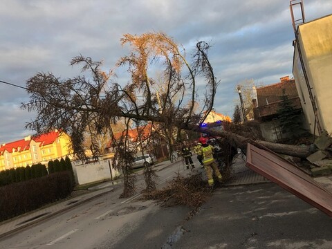 Silny wiatr i działania braniewskich strażaków