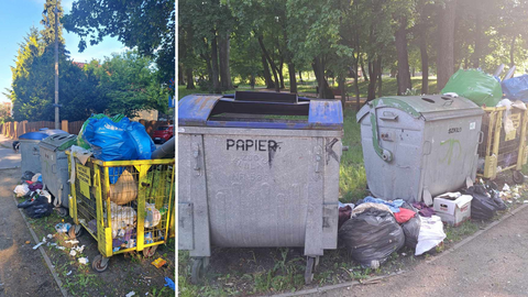 Śmietnik w zabytkowej parkowej scenerii