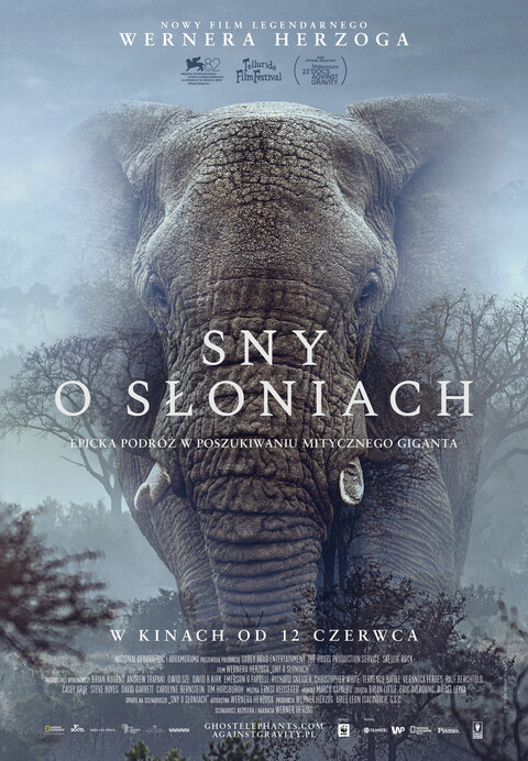 Sny o słoniach w Kinie Światowid