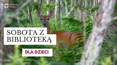 Sobota z Biblioteką Elbląską